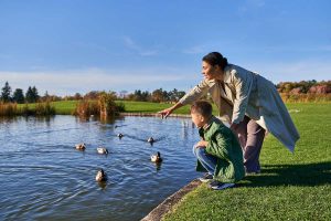 feeding the ducks